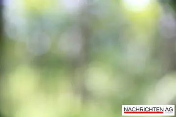 Kampf gegen den Krebs: Alis bewegende Reise zu Hoffnung und Freundschaft