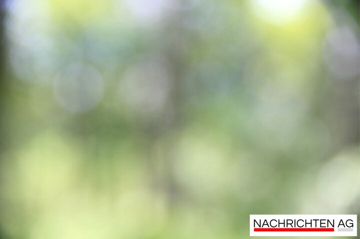 Internationaler Genuss: Neues Geschäft in Alsfeld eröffnet!