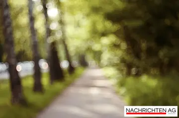 TV Bad Orb startet neue Ära: Gründung der Team Bad Orb UG für Triathleten!