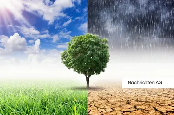 Offenbachs CO₂-Emissionen purzelten: 49% weniger pro Kopf seit 2005!